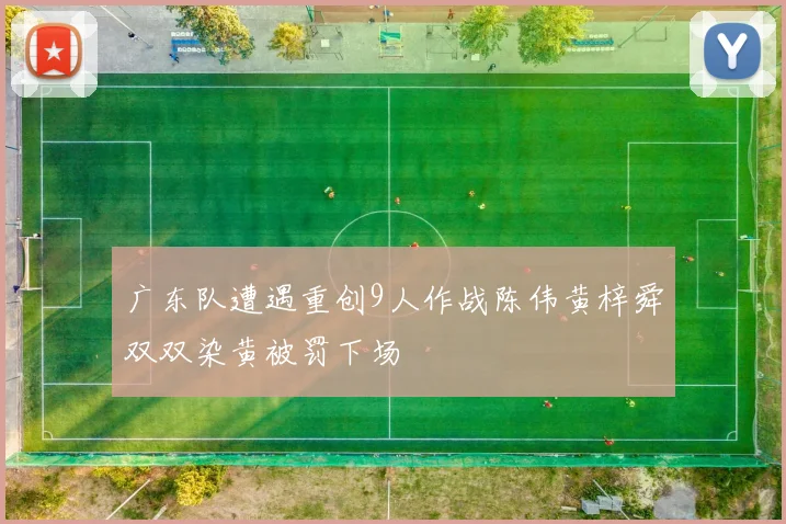 广东队遭遇重创9人作战陈伟黄梓舜双双染黄被罚下场