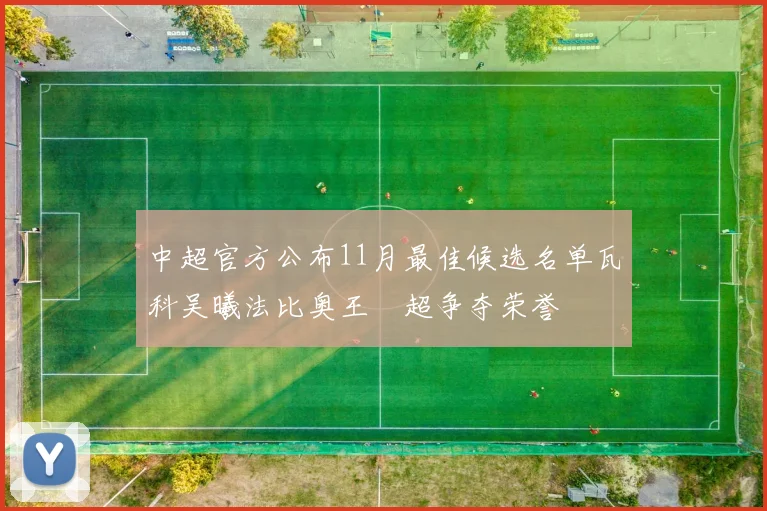 中超官方公布11月最佳候选名单瓦科吴曦法比奥王燊超争夺荣誉