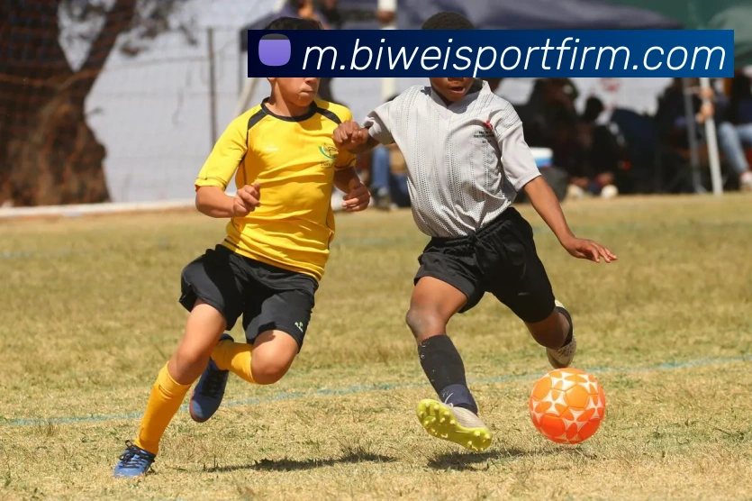 必威体育APP 高清赛事图